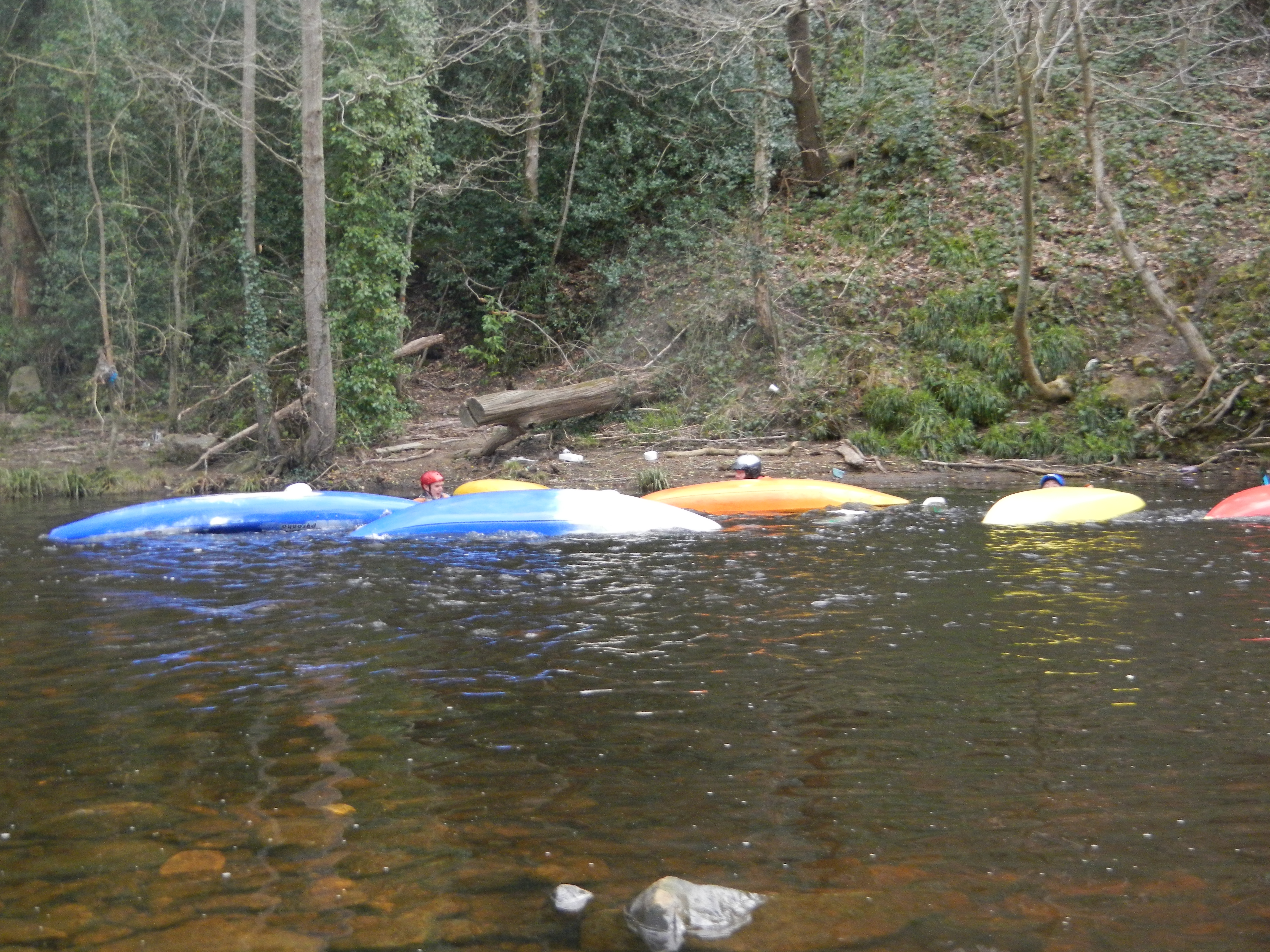 DSCN0581.JPG
