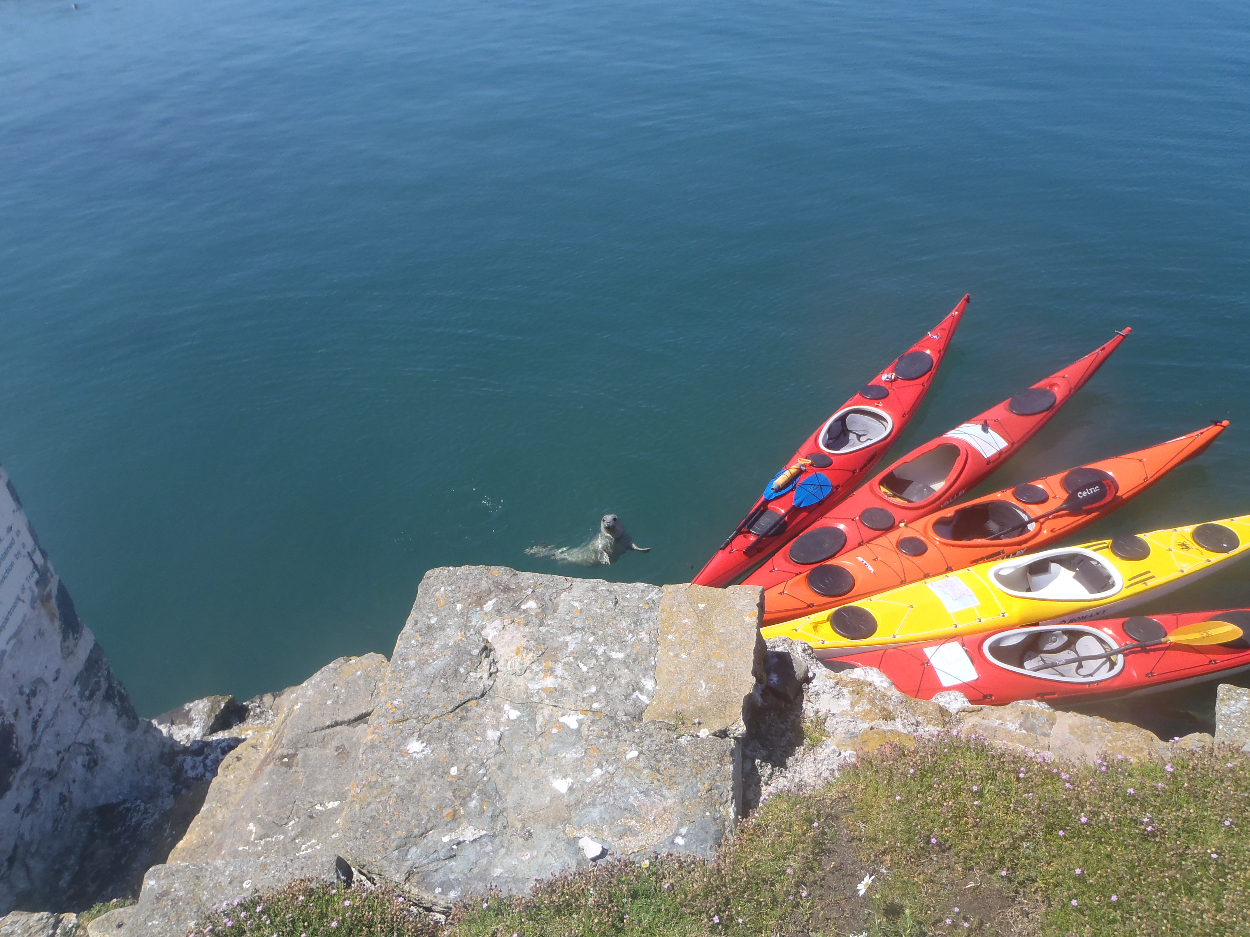 Boats moored with custodian 2022